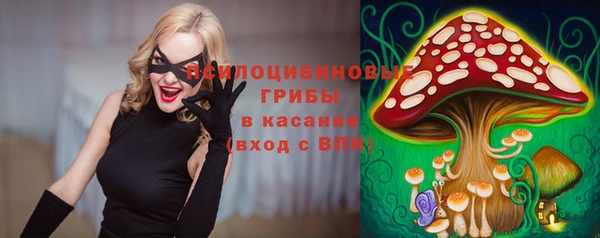 прущая мука Бородино