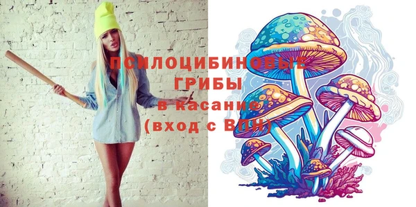 крисы Бугульма