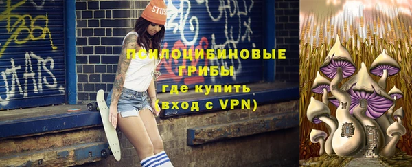 крисы Бугульма