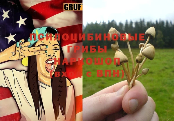 дмт Бронницы