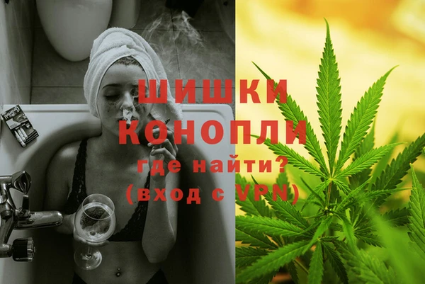 прущая мука Бородино