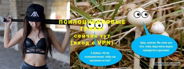 крисы Бугульма