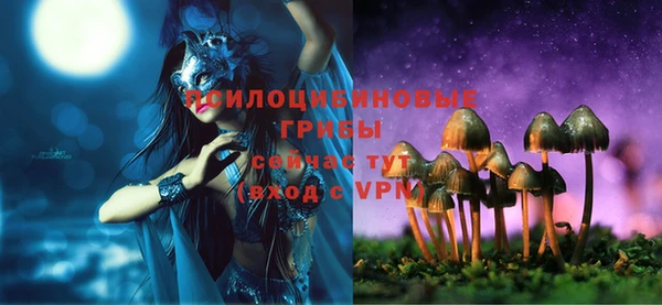 дмт Бронницы
