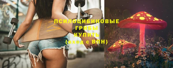 крисы Бугульма